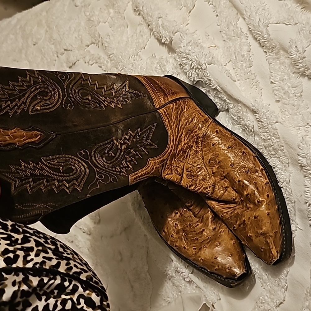 Ostrich Cowboy boots